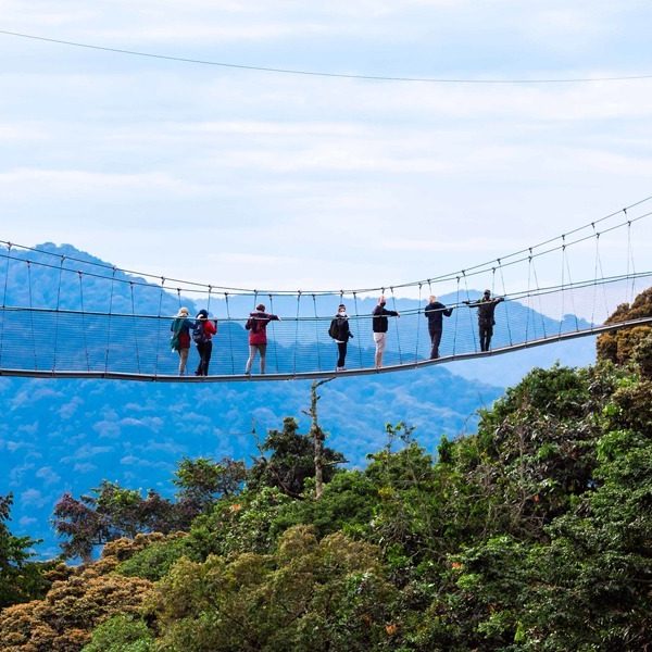 Nyungwe Forest National Park