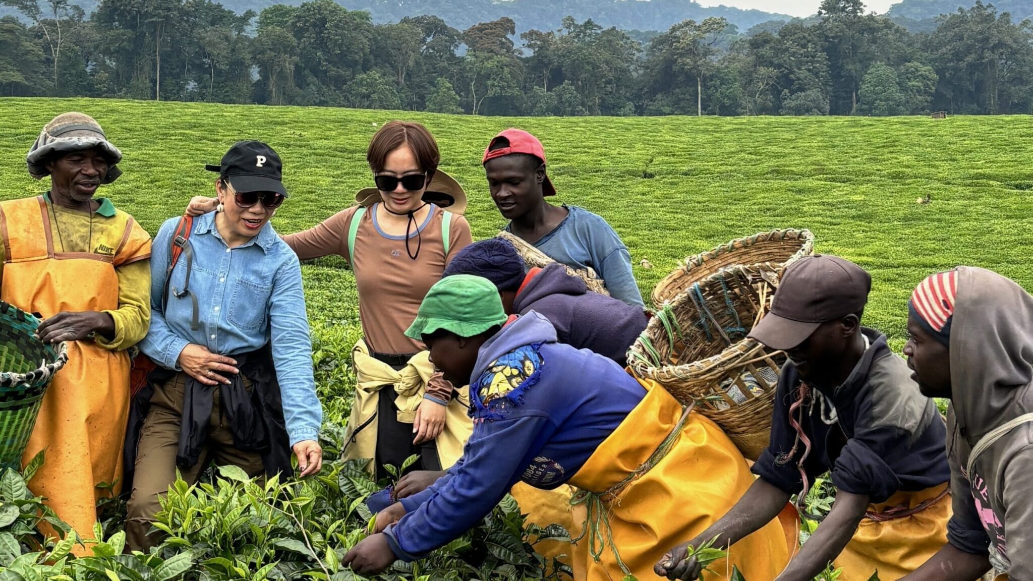 Can I Visit Tea or Coffee Plantations in Rwanda?