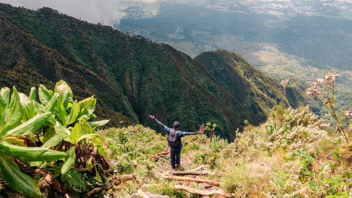 How Far in Advance Should I Book a Rwanda Gorilla Permit? Walking Short Safaris