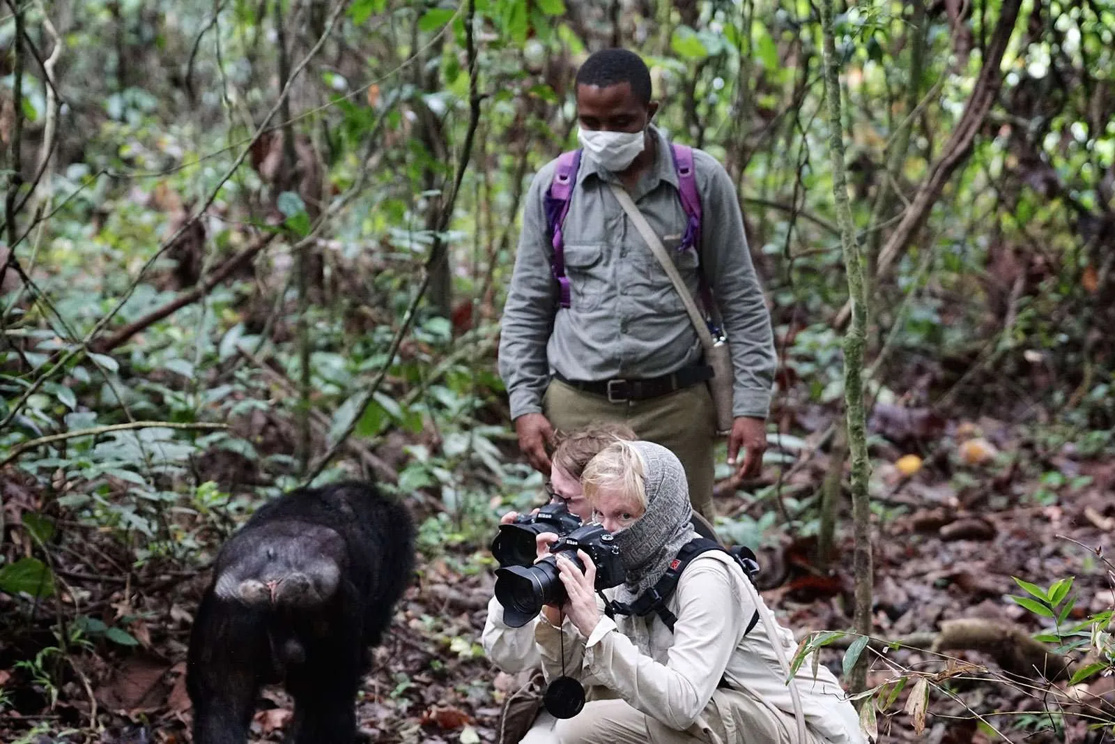 What Should I Wear for Chimpanzee Tracking in Rwanda?