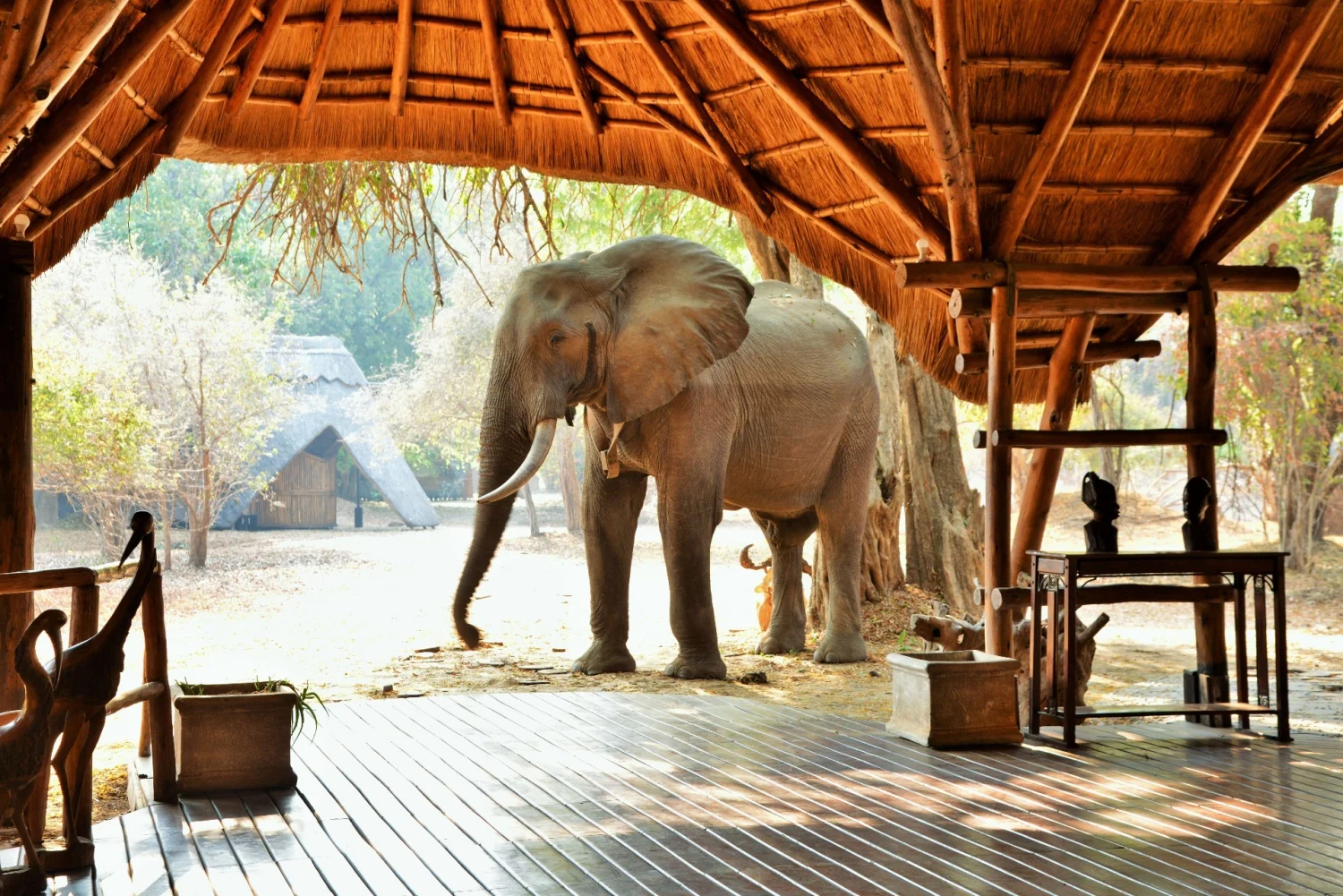 Where Can I Stay During a Big Five Safari